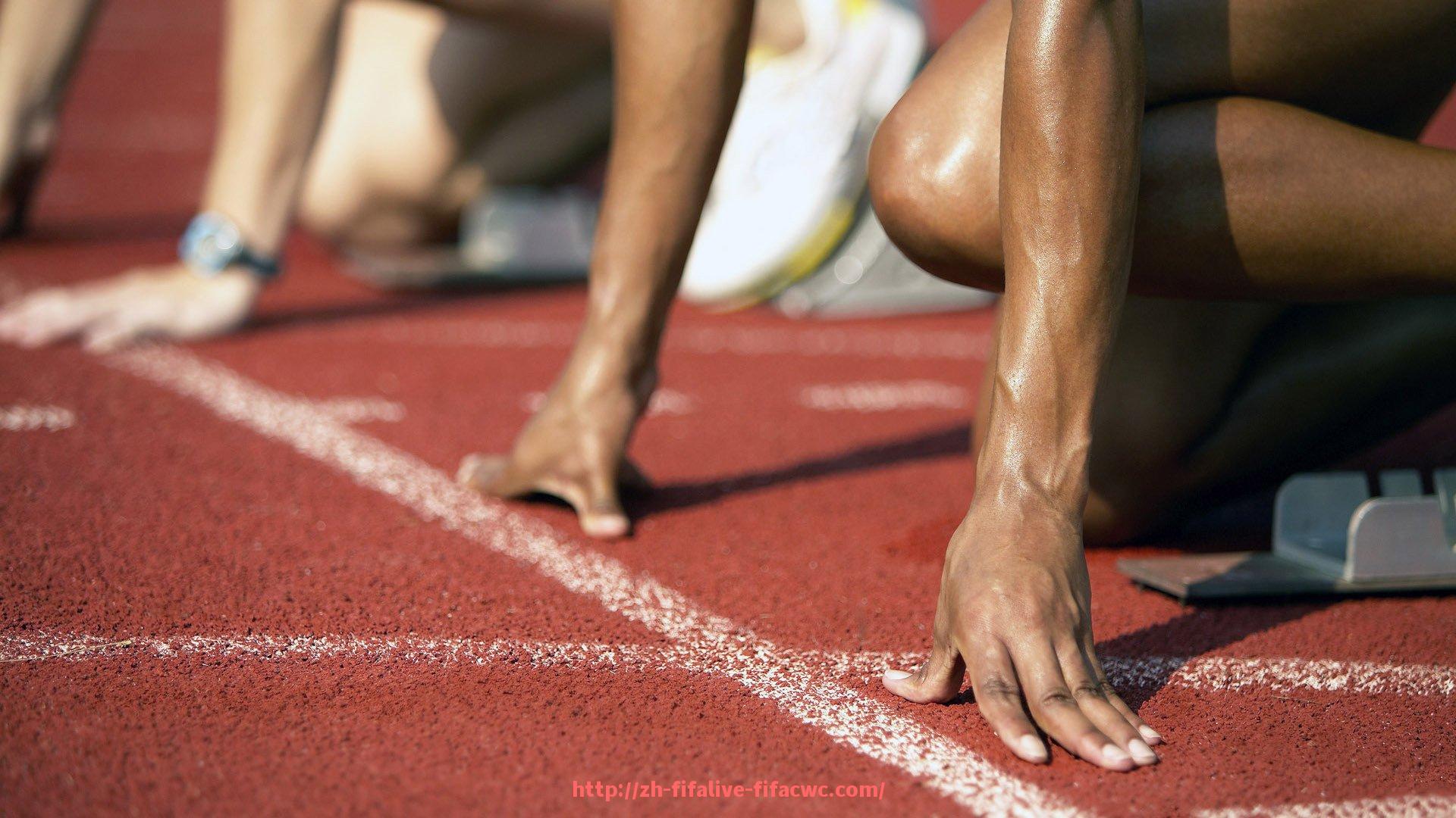 世俱杯直播-世俱杯装备存放管理的科学方法与实用策略