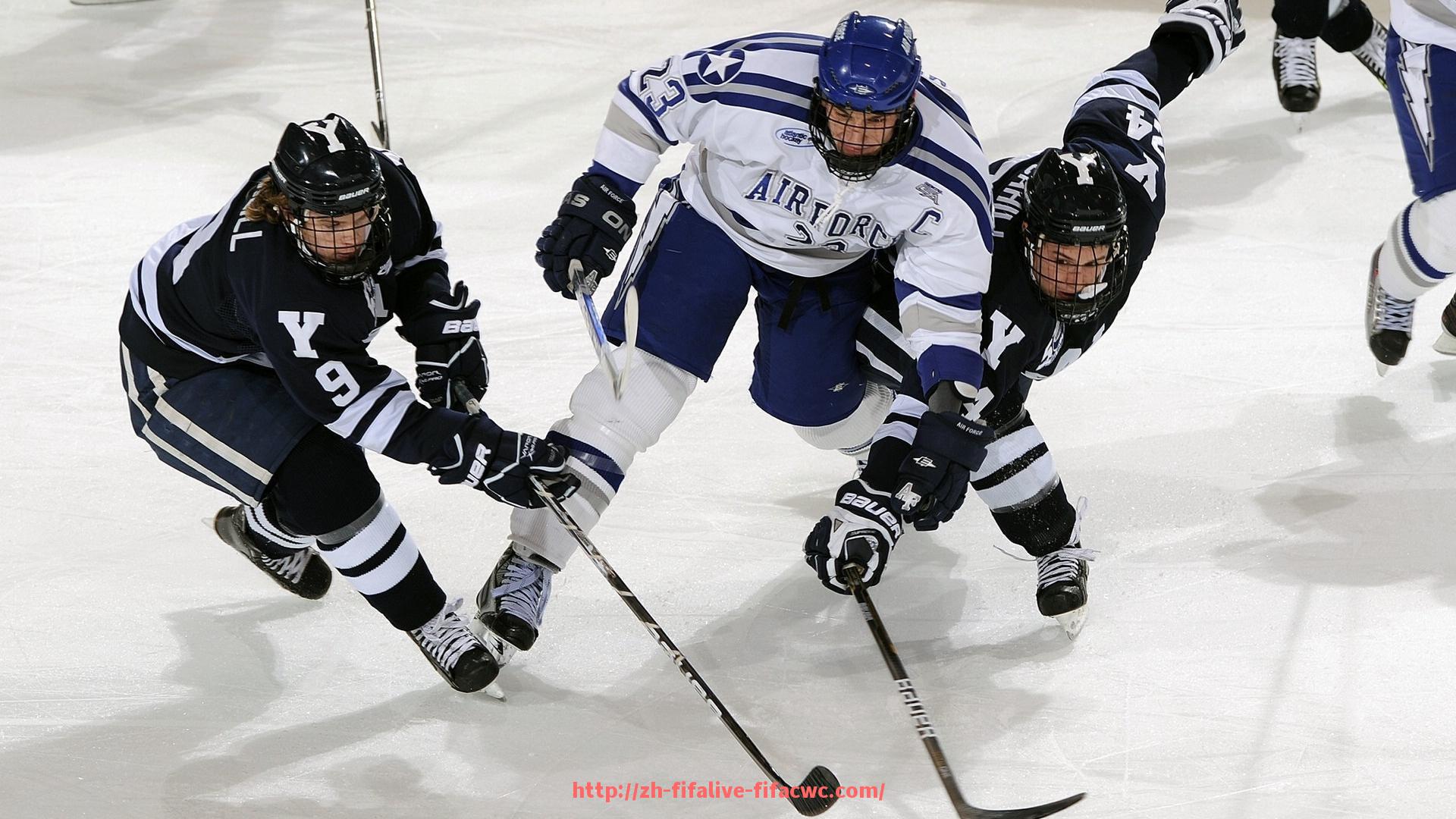 世俱杯直播-健身器材批发客服服务标准与客户满意度提升